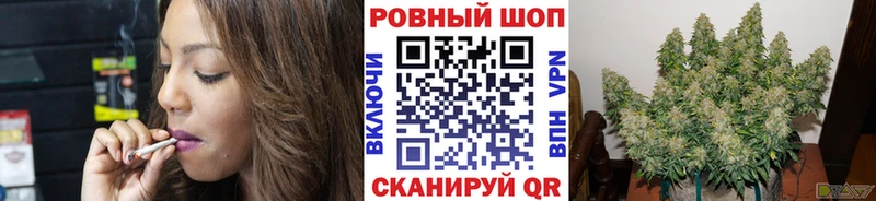 Наркошоп Каменногорск blacksprut маркетплейс  Кокаин  МЕФ  МАРИХУАНА  Alpha-PVP 