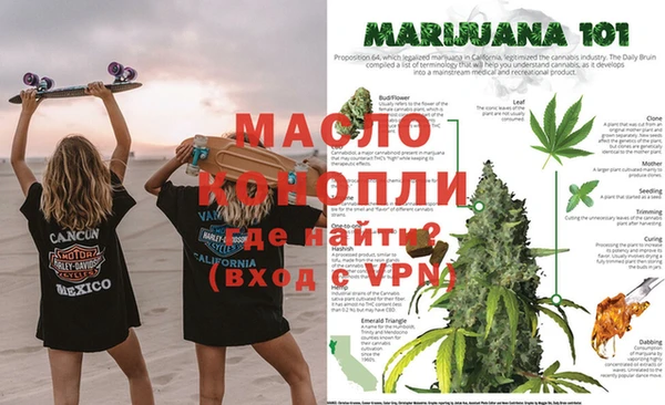 крисы Верхний Тагил