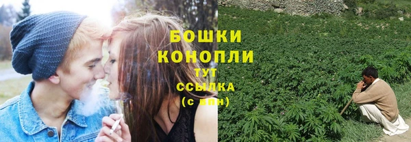 крисы Верхний Тагил