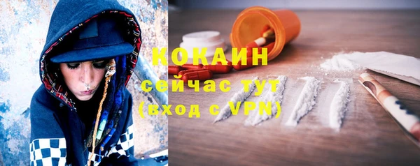 крисы Верхний Тагил