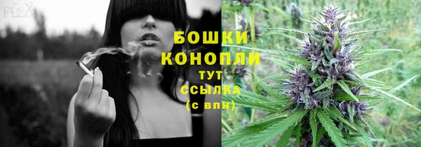 крисы Верхний Тагил